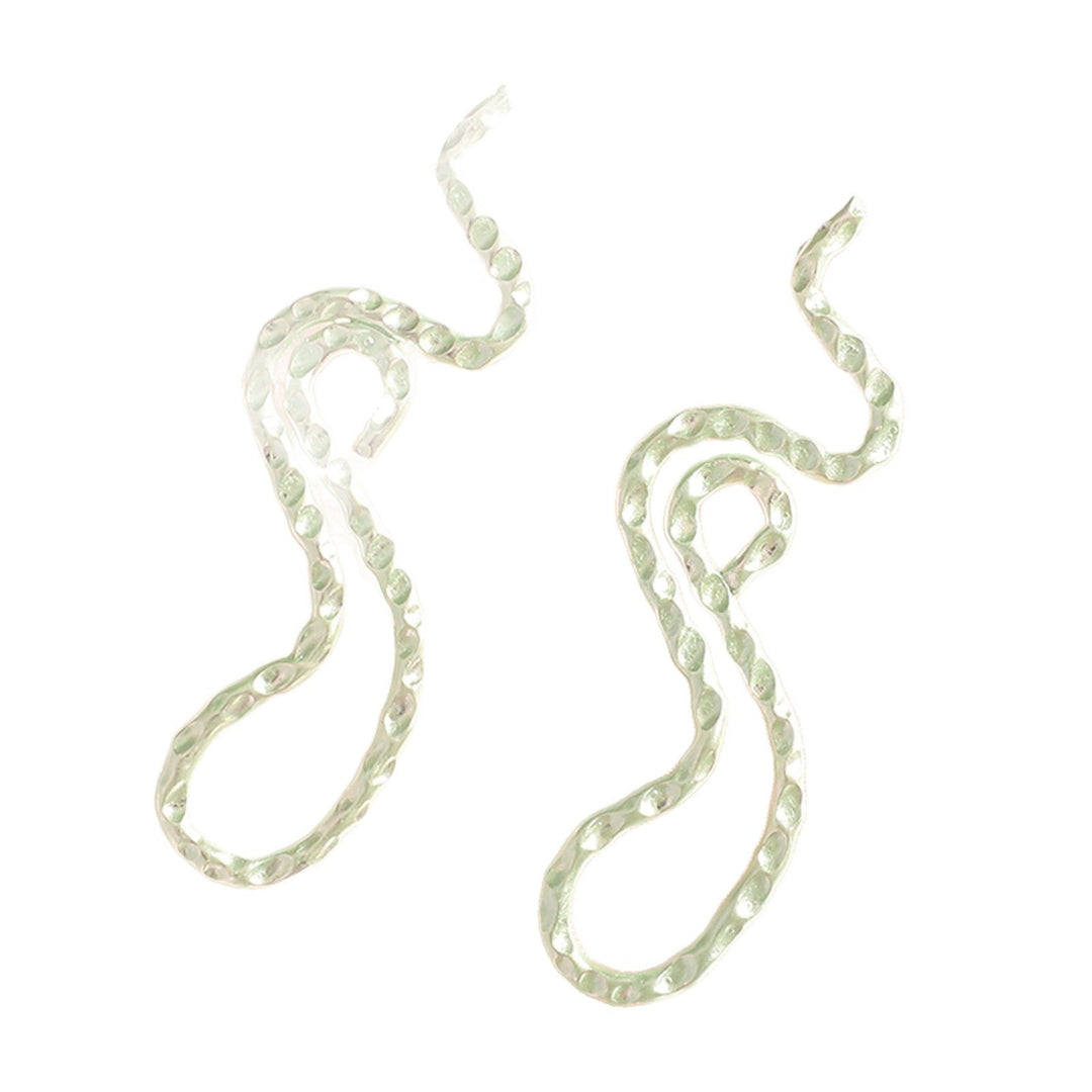 Ladies earrings in elegant wave pattern All Fashion